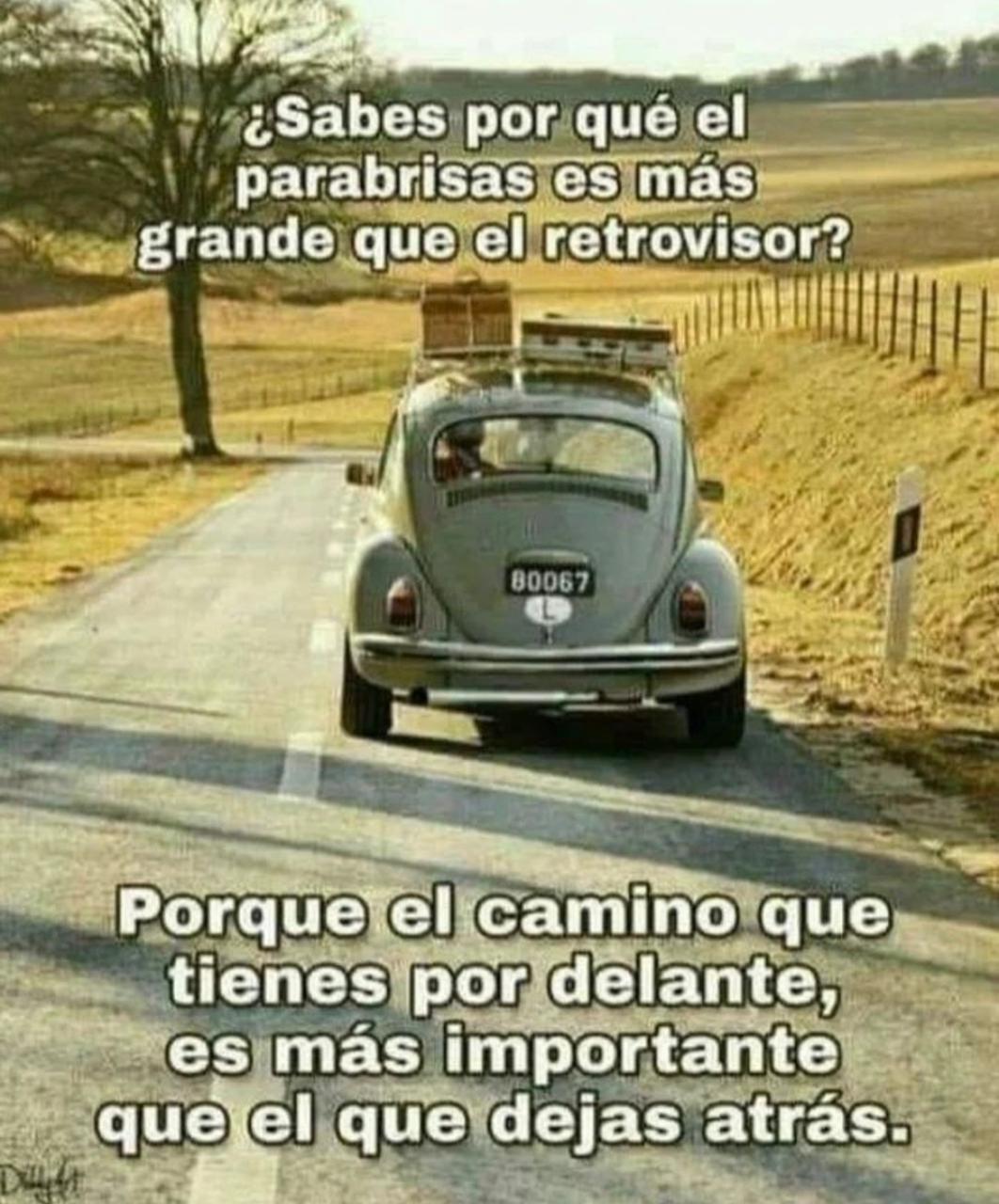 Caricatura