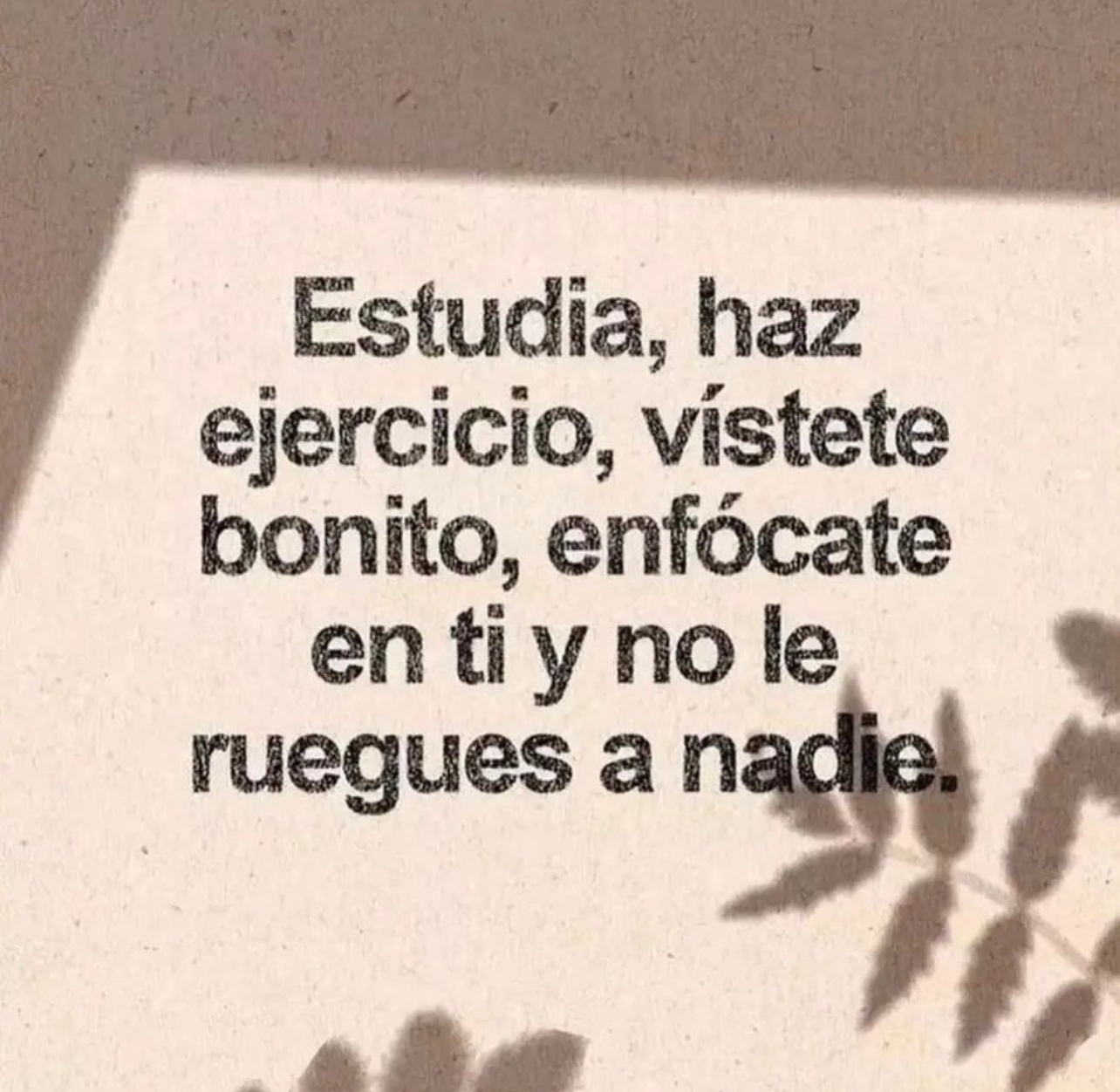 Caricatura