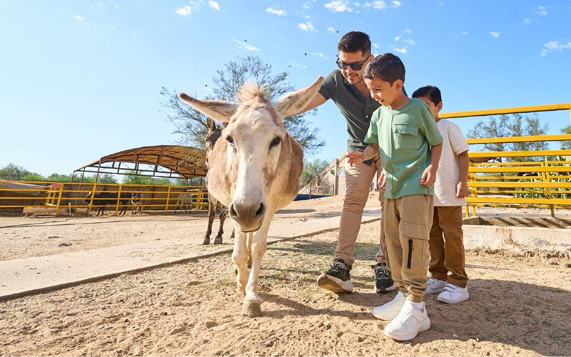 Centro Ecológico de Sonora y EcoSafari regresan a su horario habitual