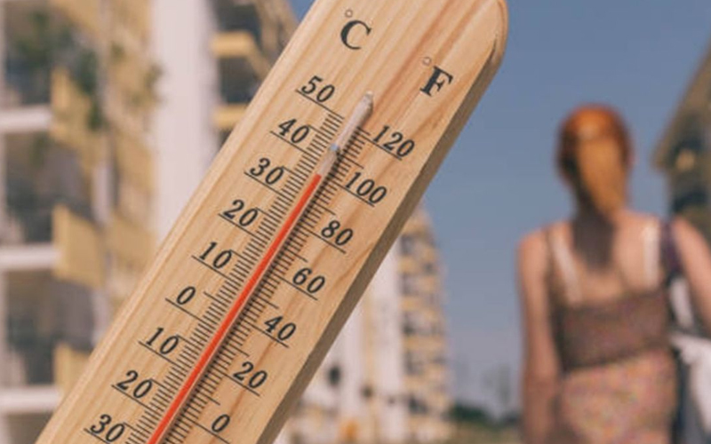 Ola de calor extrema paraliza actividades y deja decenas de muertos en Europa