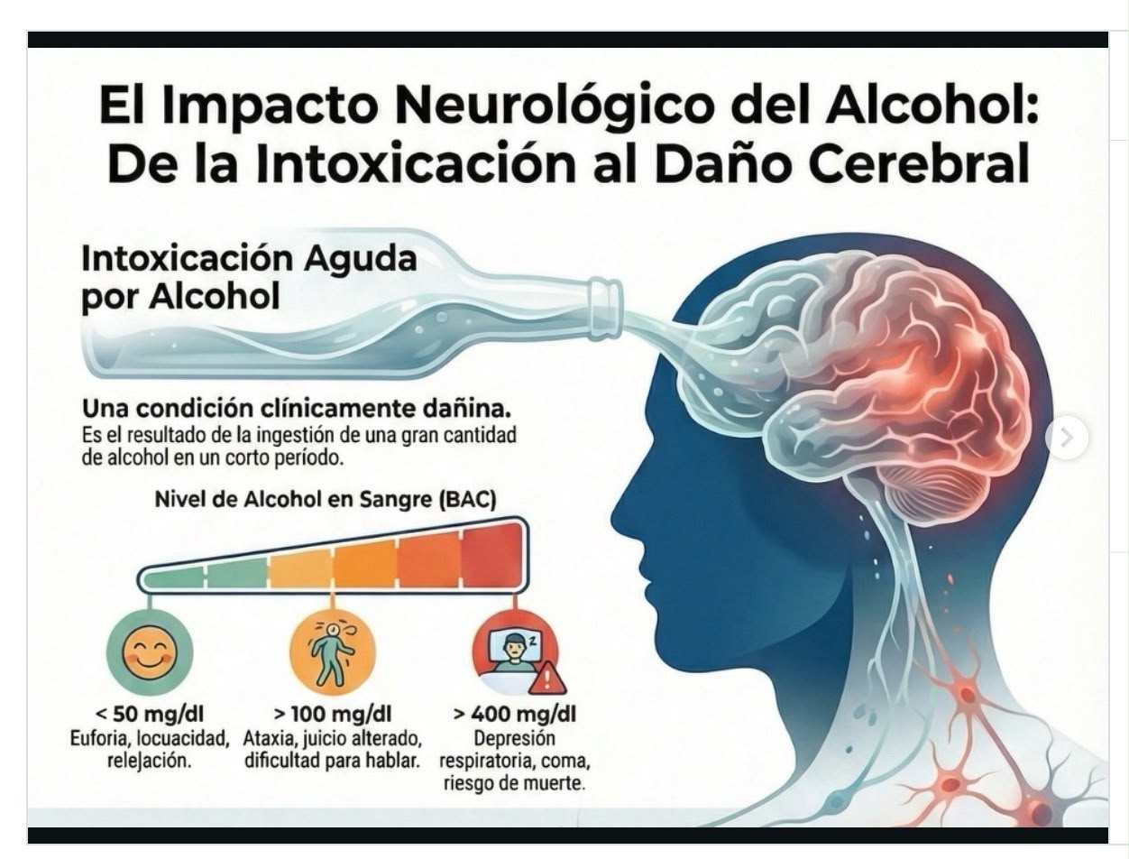 Alcohol Y Cerebro: Daño Silencioso Progresivo