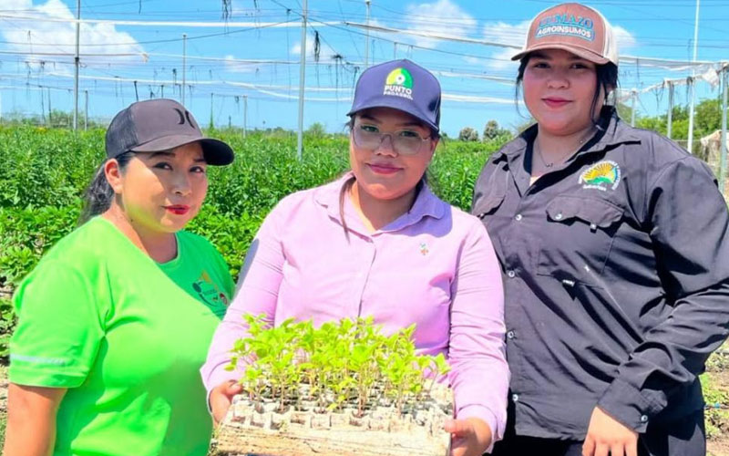 Estudiantes de la UTE cultivan flores tradicionales para el Día de Muertos
