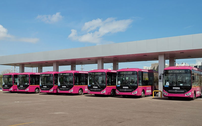 Sonora alcanza 768 unidades de transporte público y duplica la flota en cinco años