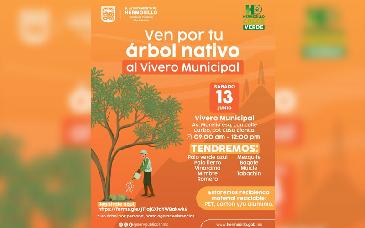 Gobierno de Hermosillo donará 500 árboles nativos este sábado