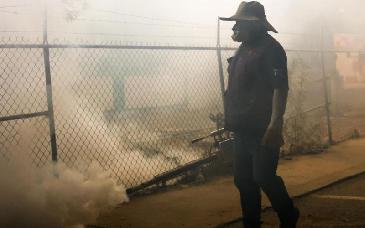 Salud Sonora intensifica vigilancia y control del mosquito tras repunte de dengue en la entidad