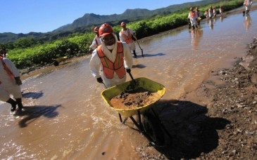 Inicia remediación ambiental del Río Sonora para retirar 100 mil toneladas de suelo contaminado