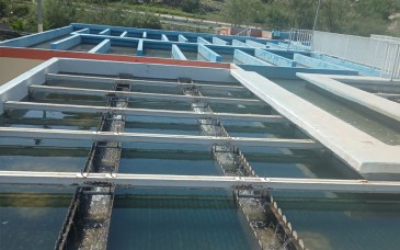 Mejora calidad del agua en El Molinito y avanza recuperación del servicio