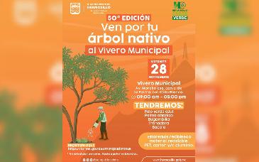 Habrá jornada de donación de árboles nativos el próximo viernes en Hermosillo