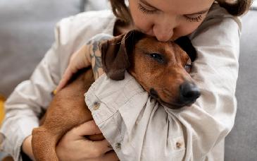 Lo que los perros pueden enseñarnos sobre carácter, confianza y relaciones humanas