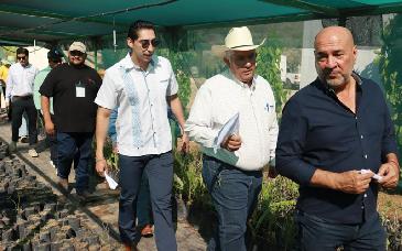 Lanzan “Por un Sonora Sustentable” para impulsar reforestación y cuidado ambiental