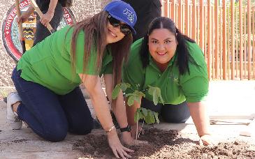 Realiza Comisión de Sustentabilidad campaña de reforestación en campus Navojoa 