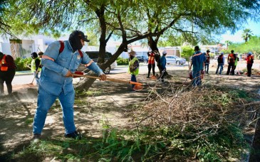 Cuadrillas de empleo temporal limpian calles, camellones y panteones de Hermosillo