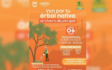 Invita Ayuntamiento de Hermosillo a participar en la donación de árboles nativos del Vivero Municipal