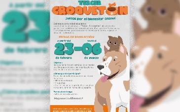 Gobierno de Hermosillo lanza Tercer Croquetón en apoyo a animales vulnerables