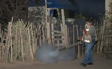 Refuerzan combate al dengue en Miguel Alemán con apoyo ciudadano