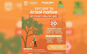Este viernes 20 el Vivero Municipal donará árboles nativos