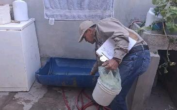 Patios limpios, clave para prevenir dengue y rickettsiosis: Salud Sonora