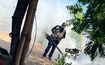 Refuerzan acciones de control y prevención del dengue en Guaymas, Etchojoa y Empalme
