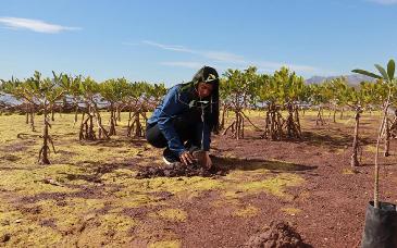 Especialistas destacan valor ecológico de los humedales en jornada académica en Guaymas