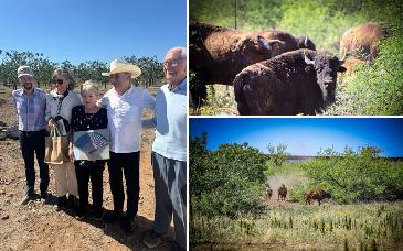 Supervisan Alfonso Durazo y Semarnat reintroducción del bisonte en Sonora