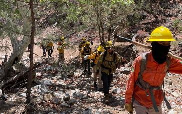 Avanza control del incendio en Sierra Los Ajos; autoridades reportan 90% de avance