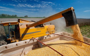 Importaciones de maíz en México alcanzan máximo histórico durante primer semestre de 2026