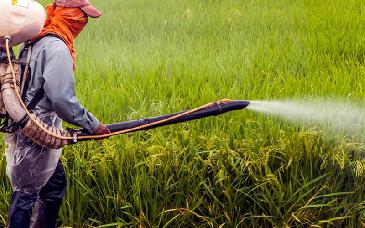 Urgen a que México prohíba el glifosato por riesgos a la salud