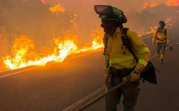 Incendio forestal deja al menos 12 muertos y 23 desaparecidos en el sur de España