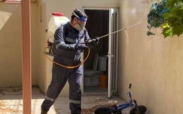Salud Sonora reitera que campañas contra dengue y rickettsia son gratuitas