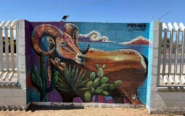 Cobach premia murales ambientales realizados por estudiantes sonorenses