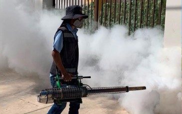 Llama Salud Sonora a eliminar criaderos para prevenir el dengue