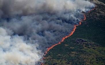 Incendios obligan a evacuar a más de 280 mil personas en España y Francia