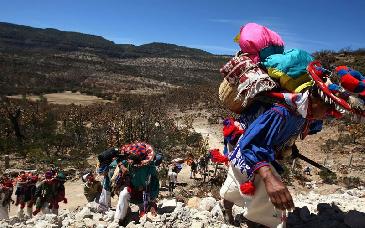 Justicia histórica: inscriben ruta sagrada Wixárika al Patrimonio Mundial de la UNESCO
