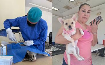 Realizan jornada gratuita de esterilización de mascotas en Sahuaripa