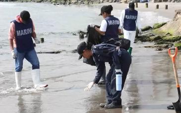 Gobierno analiza posibles derrames múltiples en el Golfo; habrá conclusiones pronto