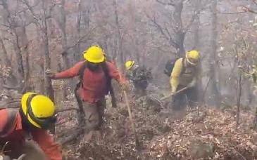 Protección Civil y brigadas federales logran avances clave en combate a incendios forestales en Sonora