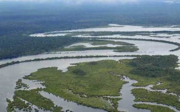 Amazonia alberga más de 2 mil 700 especies de peces de agua dulce, revela estudio