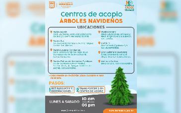 Invita Ayuntamiento de Hermosillo a depositar árboles navideños en centros de acopio