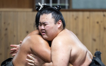 El sumo regresa a México después de 45 años con exhibición en la Arena CDMX