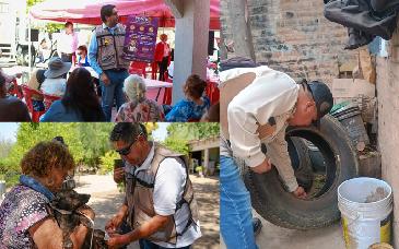 Invita SSP a familias sonorenses a extremar cuidados para prevenir rickettsiosis y dengue