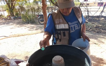 Refuerza Salud Sonora acciones preventivas contra el dengue en todo el estado