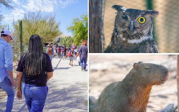 Niñas y niños de Estación Zamora viven experiencia en el Centro Ecológico