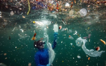Microplásticos contaminan tierra y agua; su producción podría triplicarse para 2050