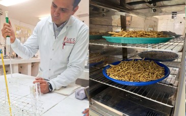 Investigador de la UES desarrolla biopelículas biodegradables con desechos agrícolas