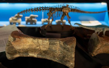 Hallan en España primera evidencia de que el Diplodocus habito Europa hace 150 millones de años