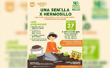 Invitan a taller para aprender a germinar y cuidar árboles nativos en Hermosillo