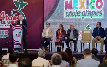 Sonora se consolida como líder nacional en producción de uva de mesa: destaca Alfonso Durazo Montaño