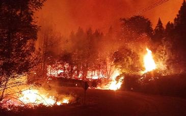 Incendios arrasan bosques en la Patagonia argentina; desalojan a más de 3 mil turistas