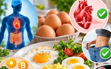 Huevo diario: ¿aliado o enemigo de la salud?