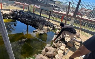 Estudiantes de Sonoyta impulsan conservación del pez del desierto